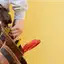 Handyman repair service in Saint Louis, MO for home fixes and improvements